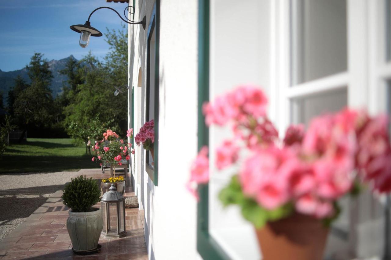 Branntweinhaeusl Appartement Saint Wolfgang Buitenkant foto